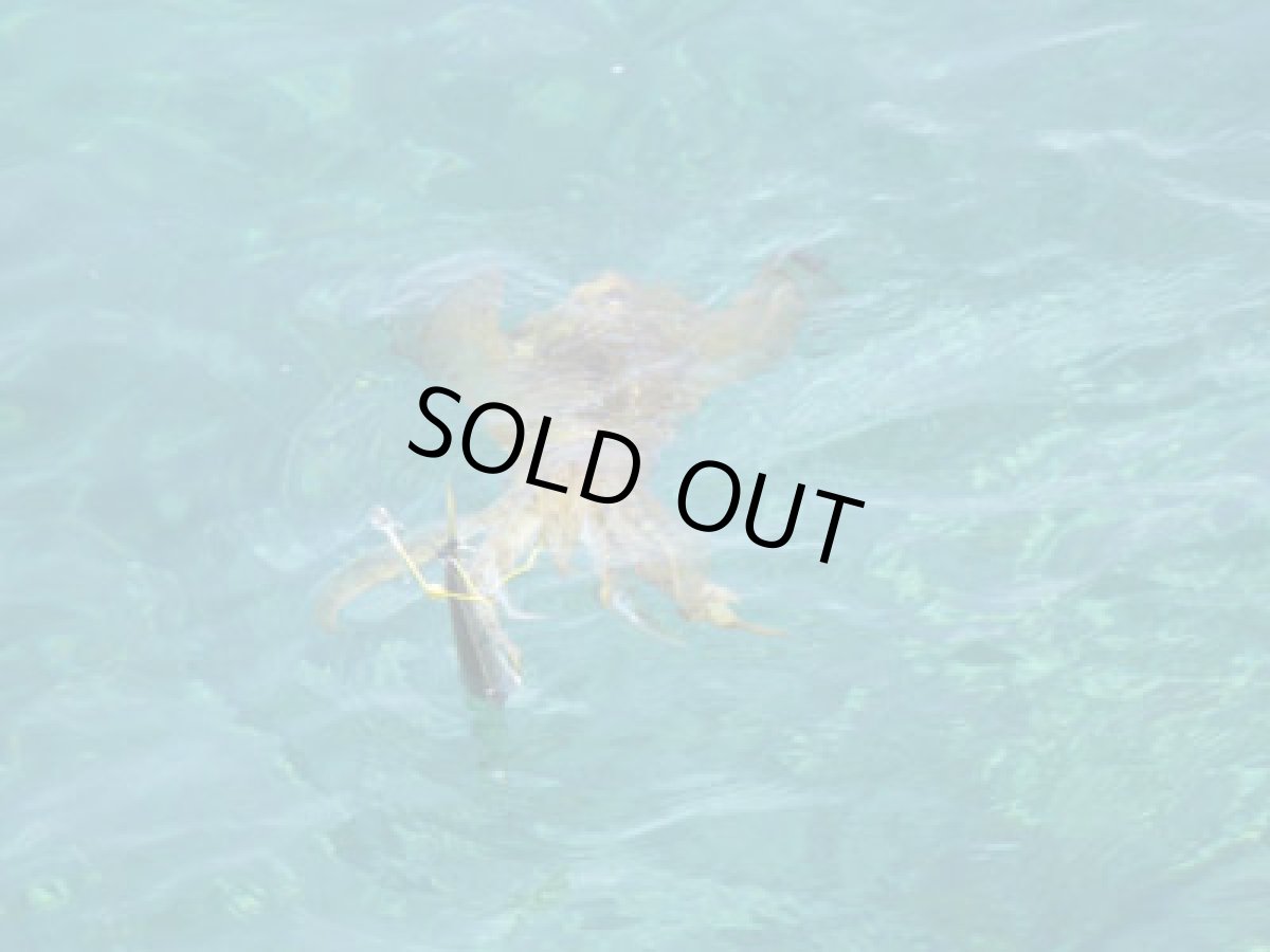 画像5: あおりねっと☆フッカーヤエン3兄弟の3本セット（イエロー） (5)