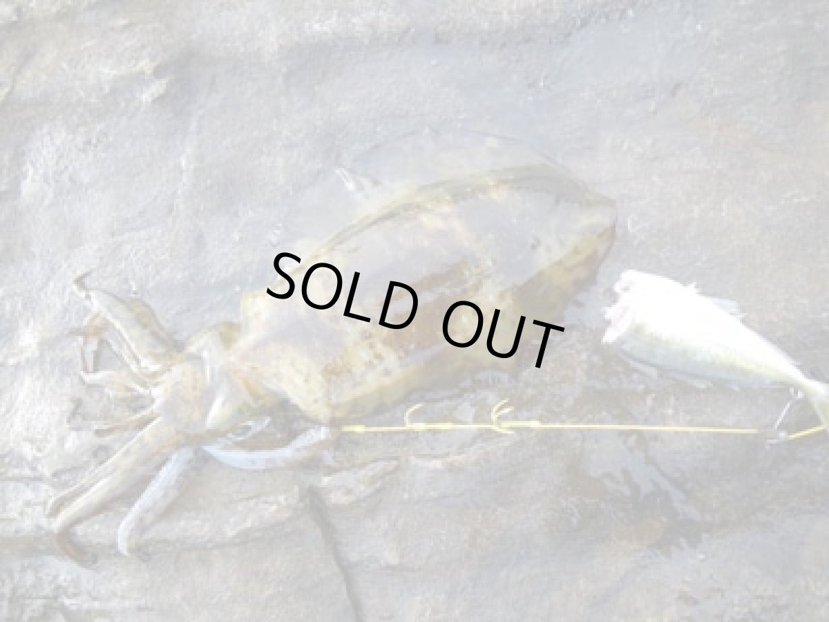 画像6: あおりねっと☆フッカーヤエン標準2本軽量2本の4本セット (6)