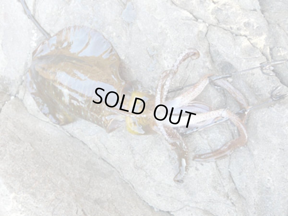 画像6: あおりねっと☆挟み式ヤエン(軽量型) (6)