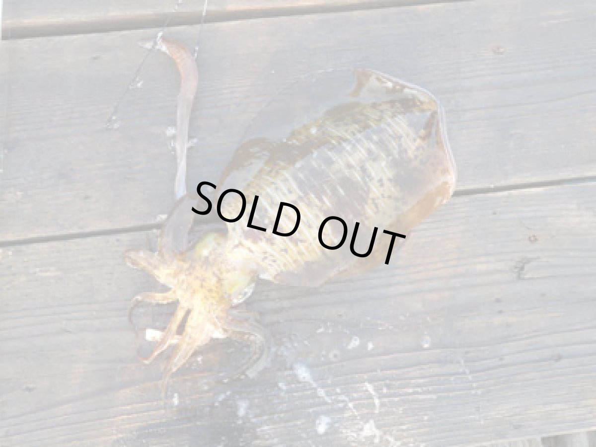 画像5: あおりねっと☆挟み式ヤエン(大型） (5)