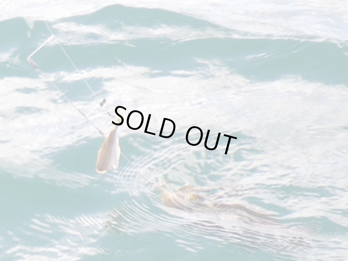 画像3: あおりねっと☆沖掛けヤエン3兄弟の3本セット（シルバー） (3)