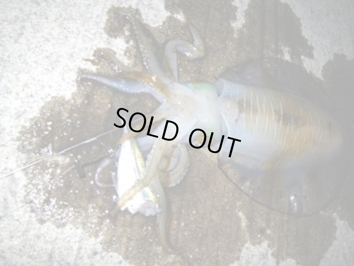 画像4: あおりねっと☆沖掛けヤエン3兄弟の3本セット（オレンジ） (4)