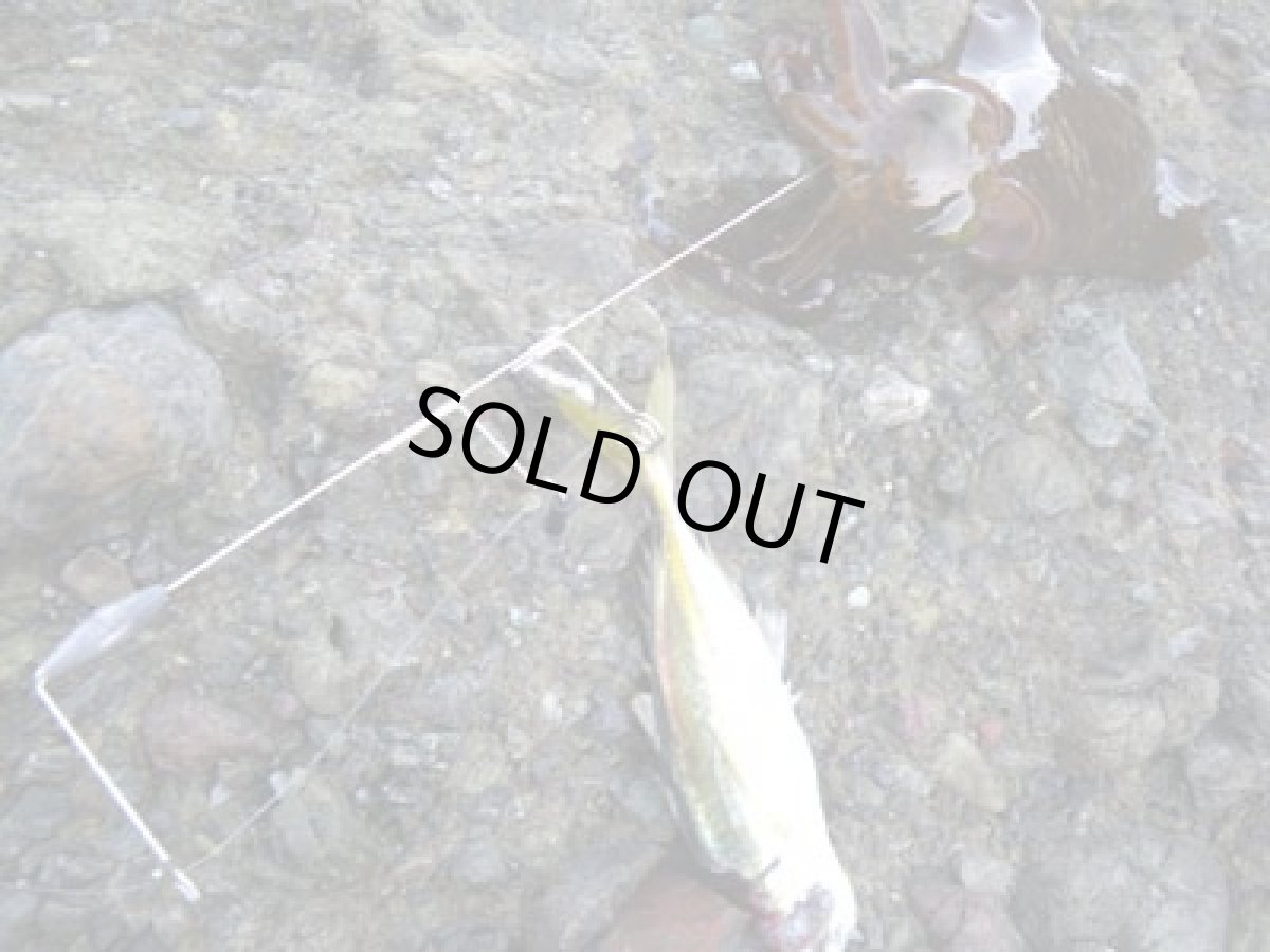 画像5: あおりねっと☆沖掛けヤエン(軽量型) (5)