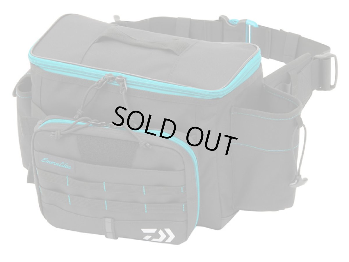 画像1: ダイワ(DAIWA)☆エメラルダス ヒップバッグ(EMERALDAS HIP BAG) （E） グリーン (1)