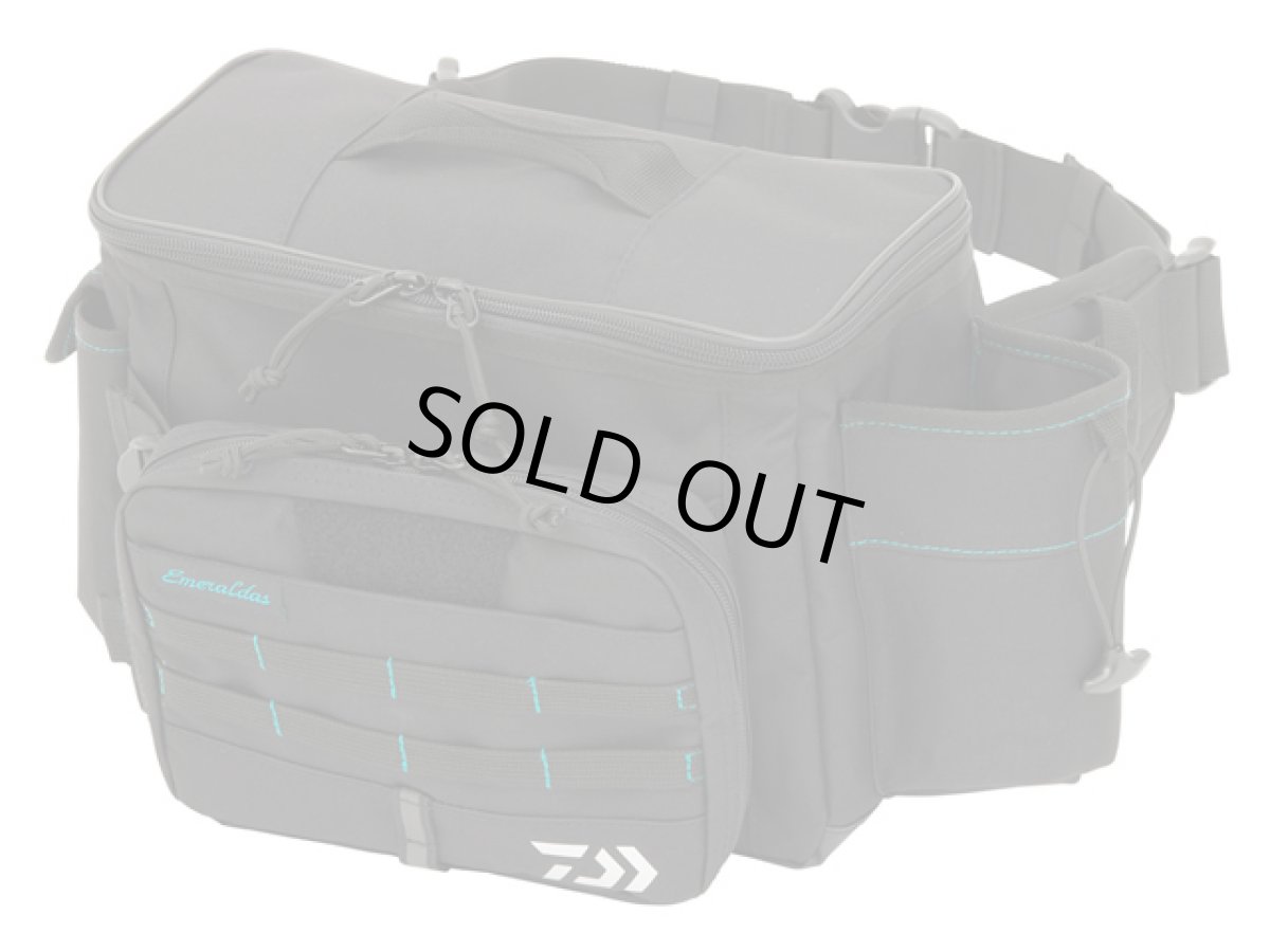 画像1: ダイワ(DAIWA)☆エメラルダス ヒップバッグ(EMERALDAS HIP BAG) (E) ブラック (1)