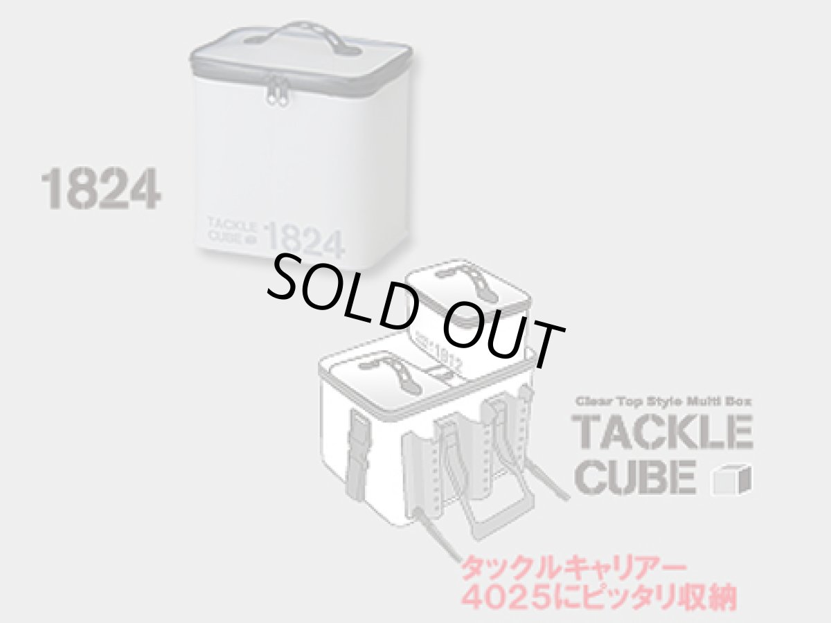 画像1: 第一精工☆タックルキューブ(TACKLE CUBE) 1824 (1)