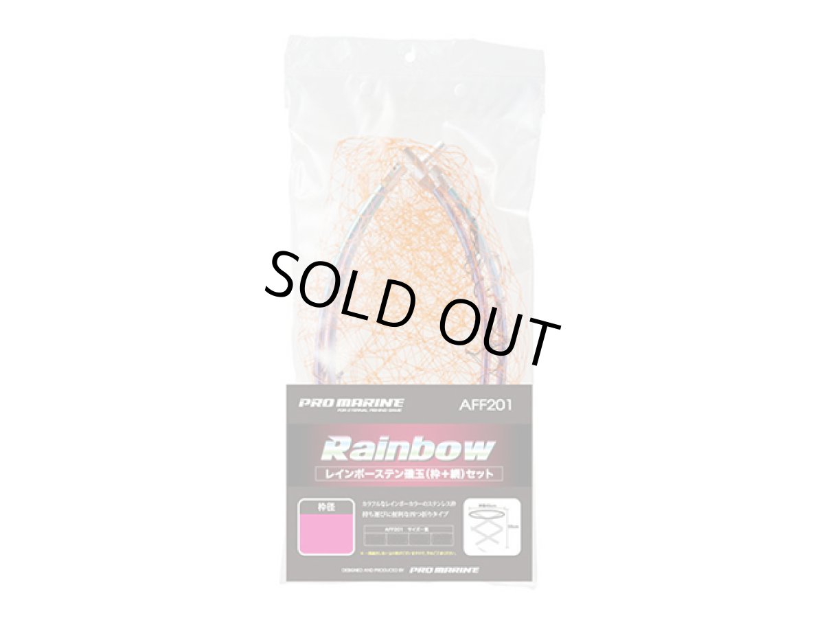 画像1: プロマリン(PRO MARINE)☆レインボーステン磯玉網セット AFF201　55cm (1)