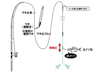 画像3: がまかつ(gamakatsu)☆お墨つきアオリイカ仕掛はねあげ式 ロング Lサイズ