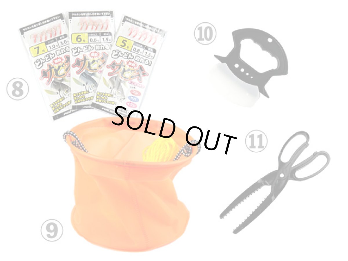 画像5: あおりねっと☆後はエサだけ！サビキ釣り初心者セット お得11点セット (5)