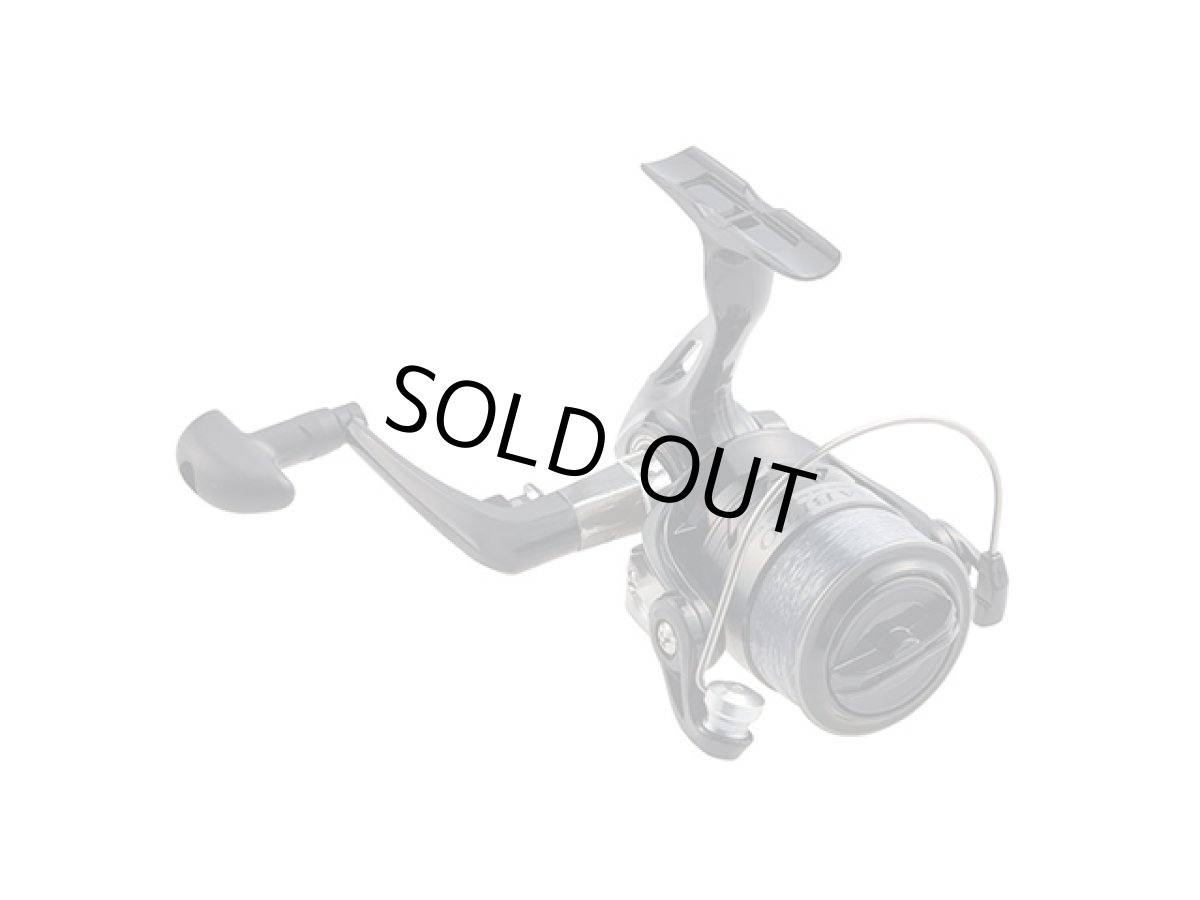 画像1: プロマリン(PRO MARINE)☆ベルーガ　VL1000 (1)