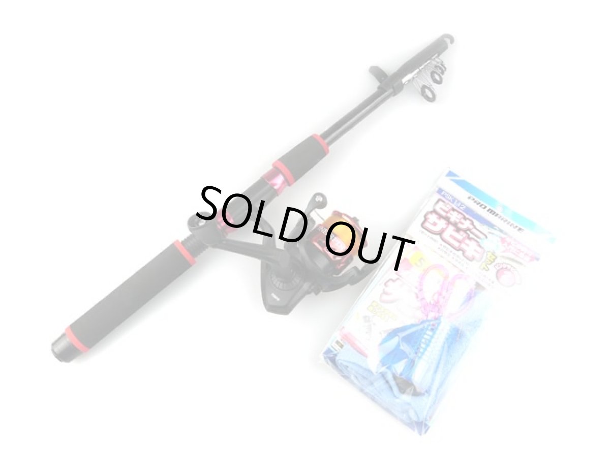 画像1: プロマリン(PRO MARINE)☆PG ミニコンパクト サビキ釣りセットSG 180 (1)