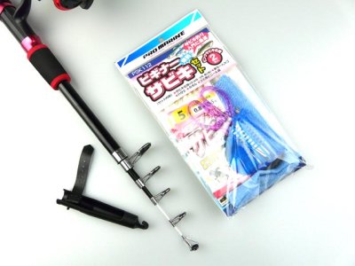 画像1: プロマリン(PRO MARINE)☆PG ミニコンパクト サビキ釣りセットSG 180