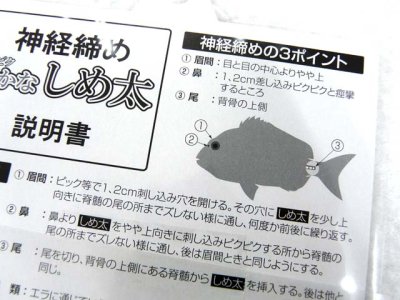 画像3: NTスイベル☆ピクピクさかなしめ太 (SAKANA SHIMETA) 100cm R-65