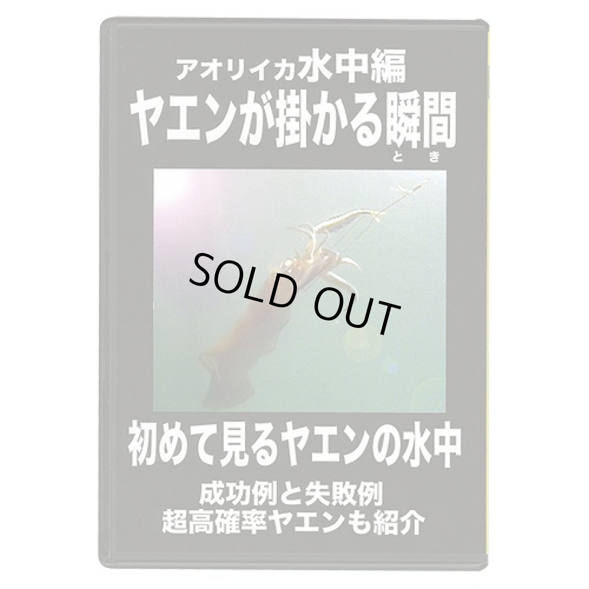 画像1: フィッシュマン☆DVD アオリイカ水中編 ヤエンが掛かる瞬間 (1)