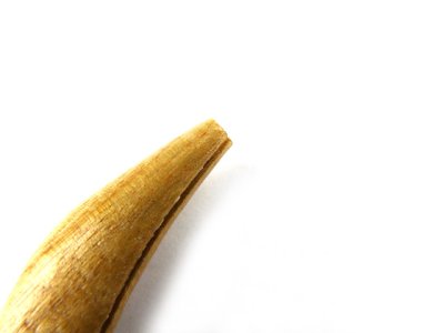 画像2: ナカジマ(NAKAZIMA)☆木製エギボディ 漁師型 3.0号