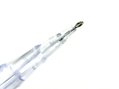 画像3: ナカジマ(NAKAZIMA)☆プラエギボディ ケイムラ 3.0号