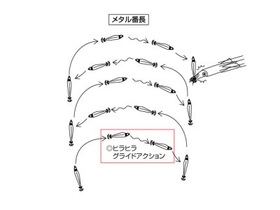 画像3: エバーグリーン(EVERGREEN)☆メタル番長　30号 MB02G ゴールドゼブラグロー