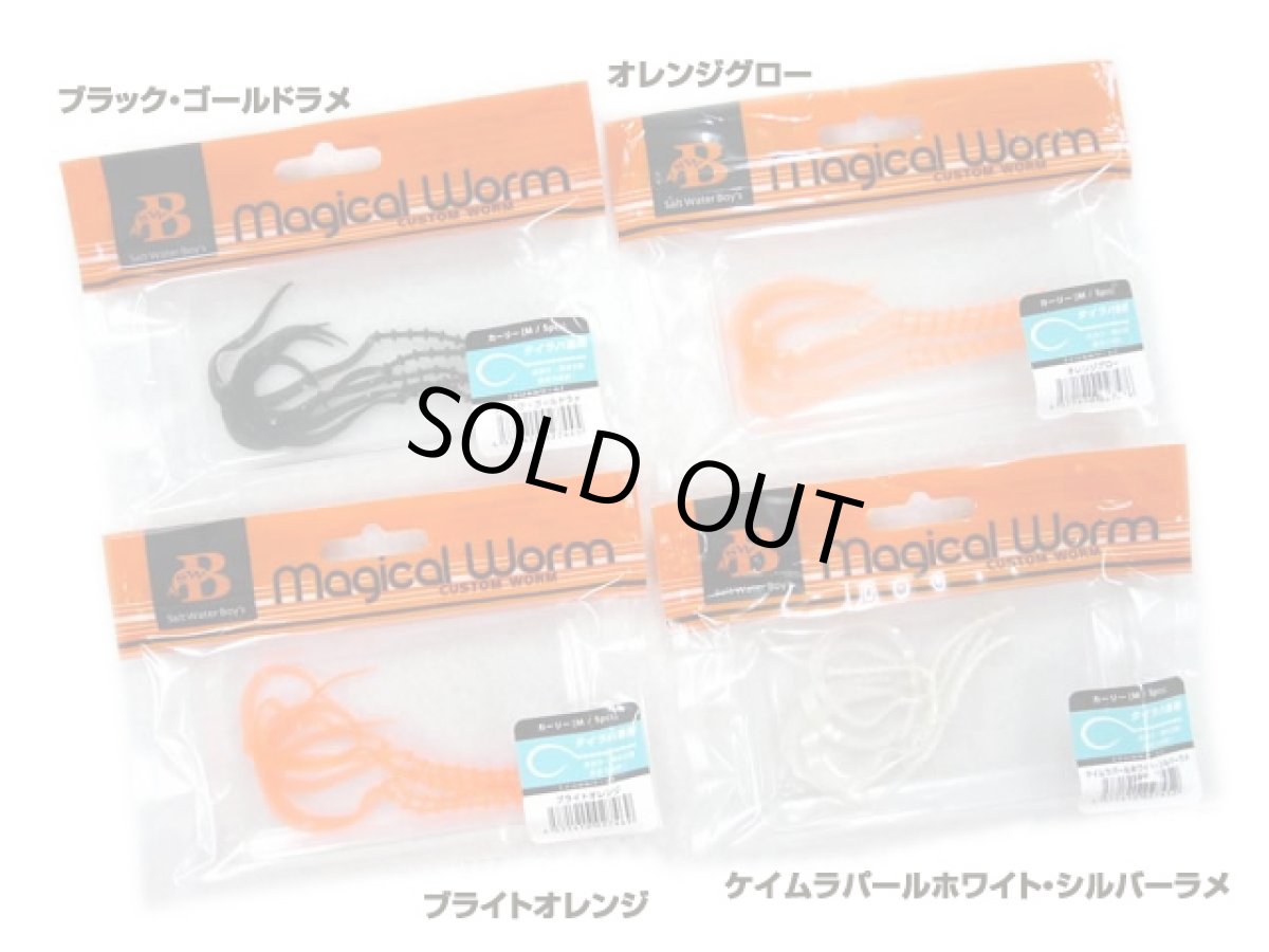 画像1: ソルトウォーターボーイズ(SALT WATER BOY'S)☆マジカルワーム(Magical Worm) カーリーM (1)