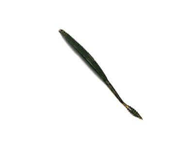 画像1: ササラボ(SASALABO)☆タイラバ専用ビッグワーム ビッグボス(BIG BOSS) イワシモデルJr. 4.8inch ワームのみ3本入りセット #4ディープグリーン