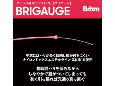 画像1: ブリズム(Brizm)☆ブリゲージ タイラバ専用アシストPE 40lb. 10m