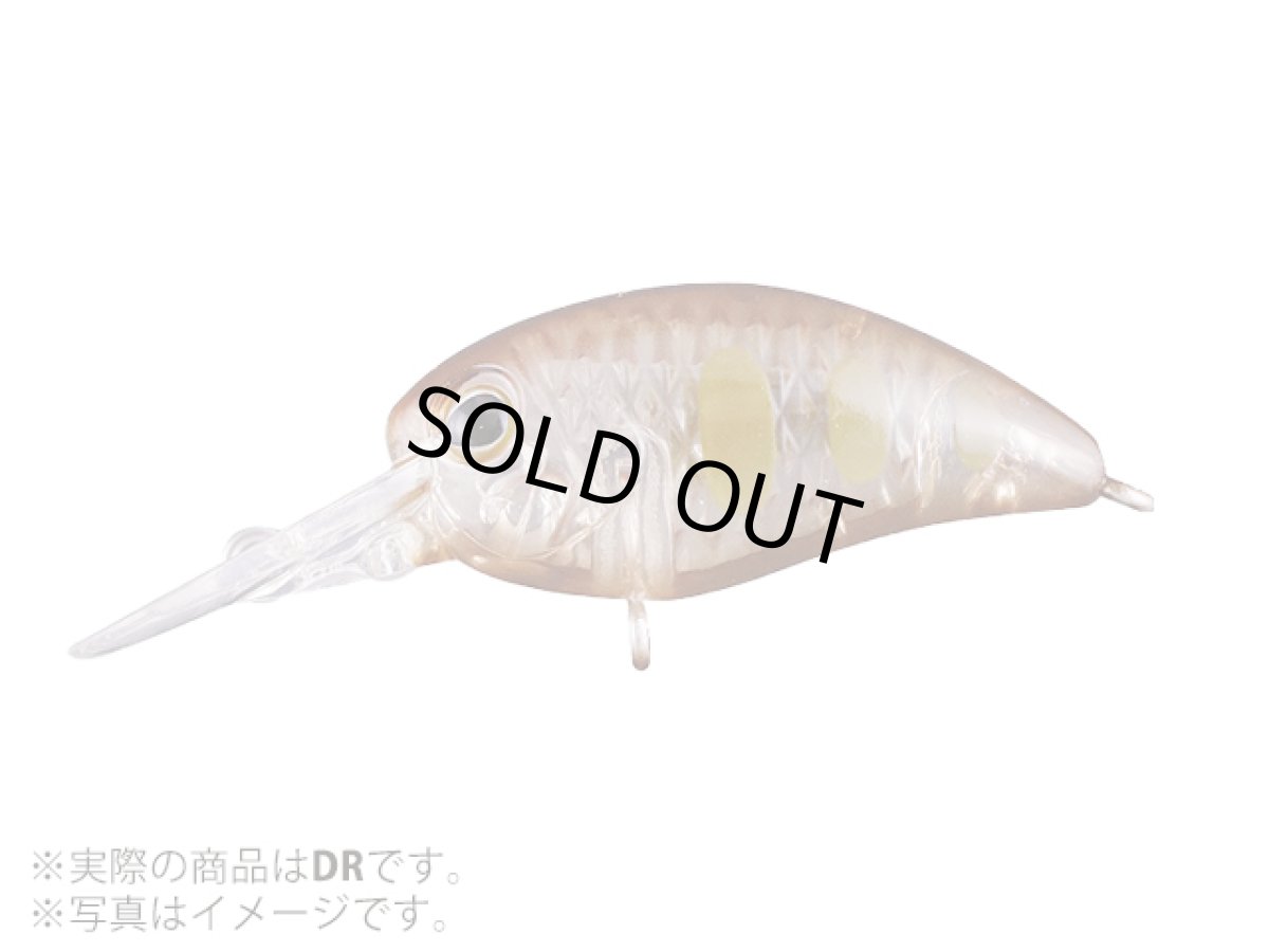 画像1: ジャッカル(JACKALL)☆ティモン(TIMON) パニクラDR #タッキーグローヤマメ (1)