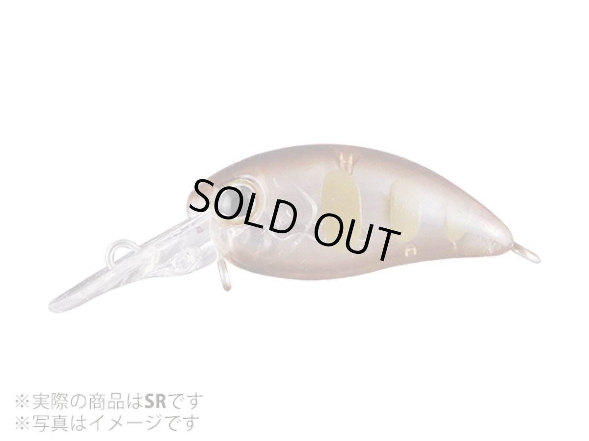 画像1: ジャッカル(JACKALL)☆ティモン(TIMON) チビパニクラSR #タッキーグローヤマメ (1)