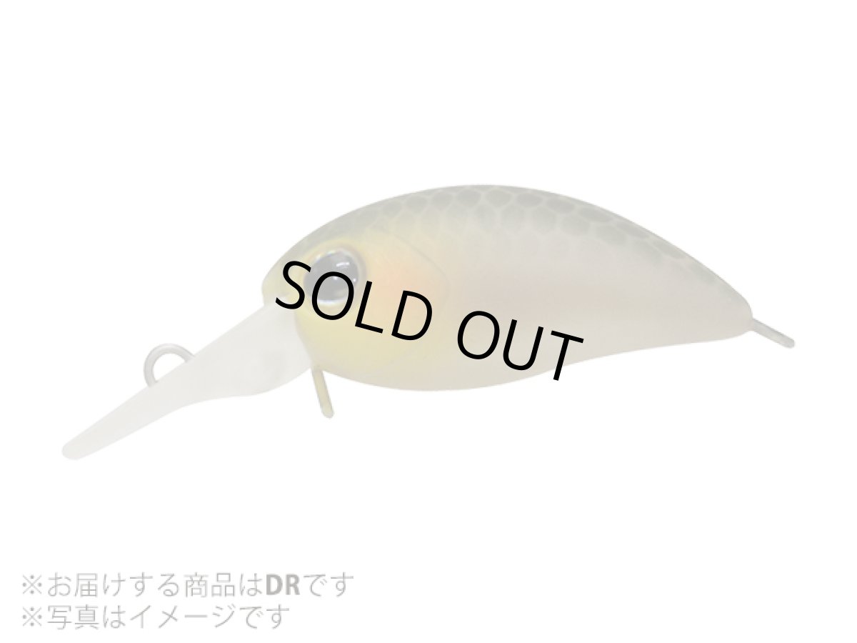 画像1: ジャッカル(JACKALL)☆ティモン(TIMON) チビパニクラDR #静岡美人 (1)