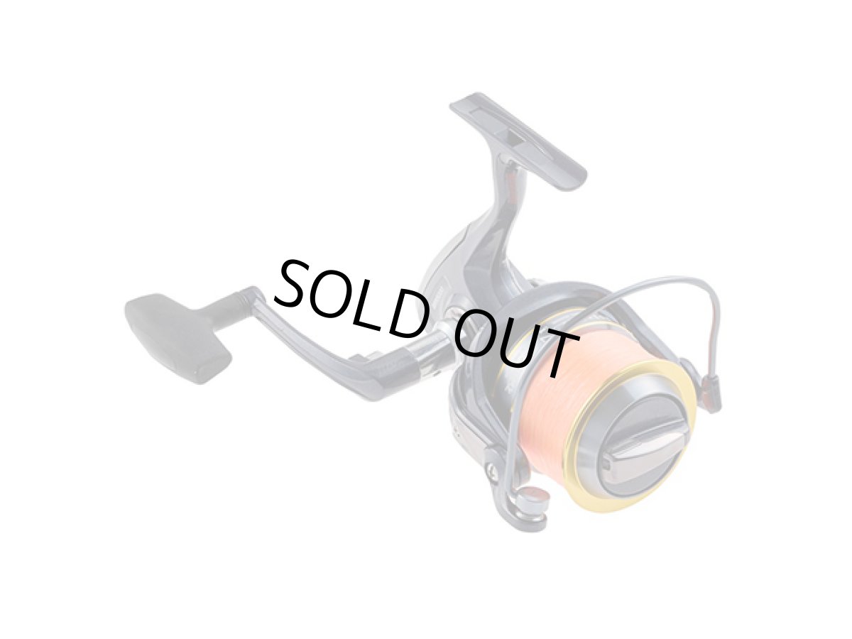 画像1: プロマリン(PRO MARINE)☆ブリーナ遠投 　BRN6000　5号200M糸付 (1)