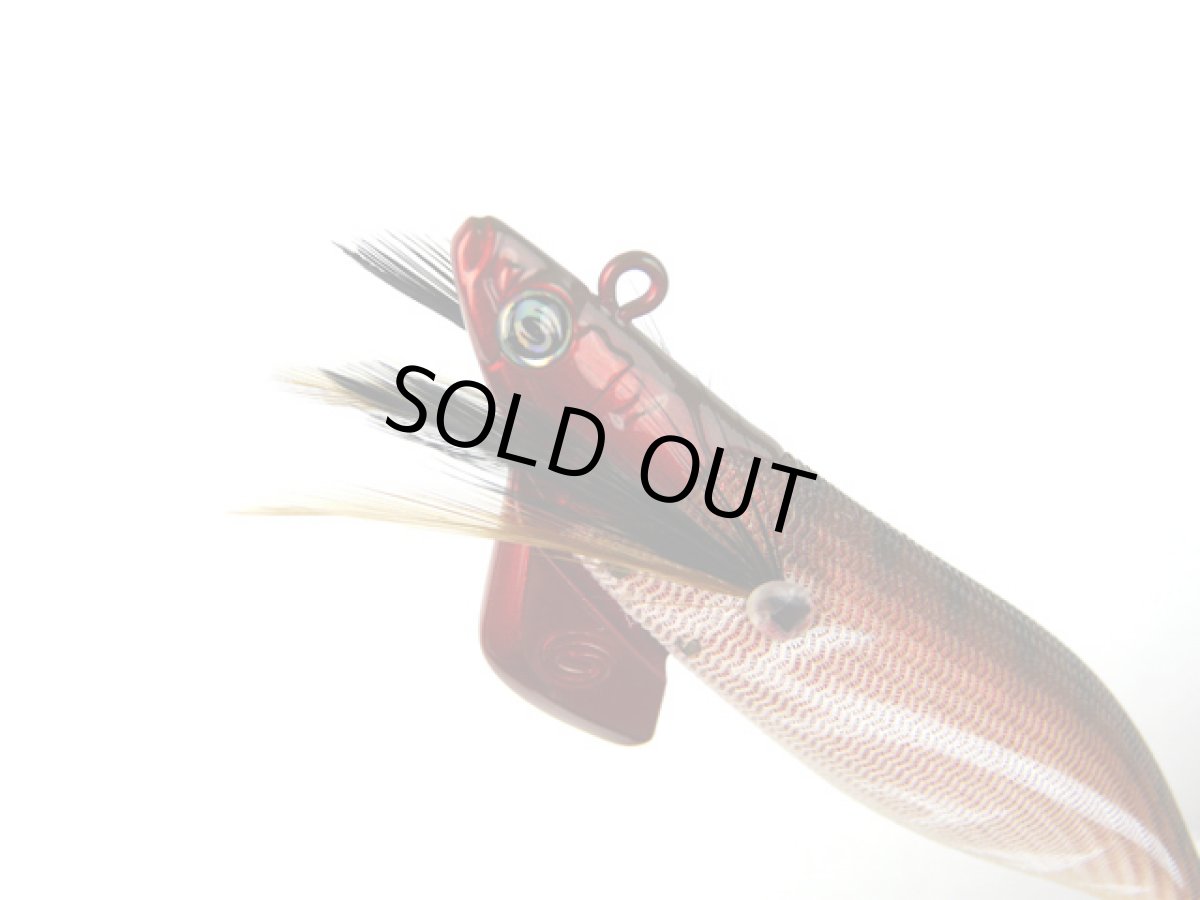 画像1: クレイジーオーシャン(Crazy Ocean)☆ティップランナー(Tip Runner) 3.5号 #14 ブラウン/レッド (1)