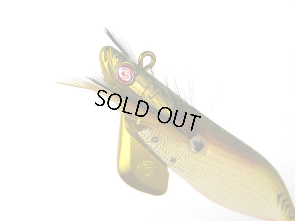 画像1: クレイジーオーシャン(Crazy Ocean)☆ティップランナー響(Tip Runner HIBIKI) 3.5号 #01 アジ/ゴールド (1)