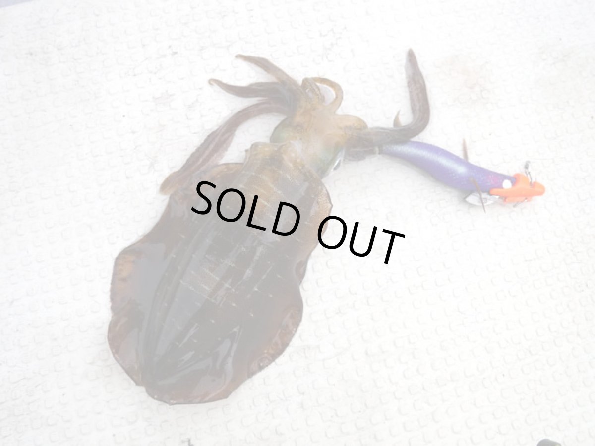 画像9: あおりねっと☆エッギーGL II (ラトルタイプ) 3.5号 3個セット (9)