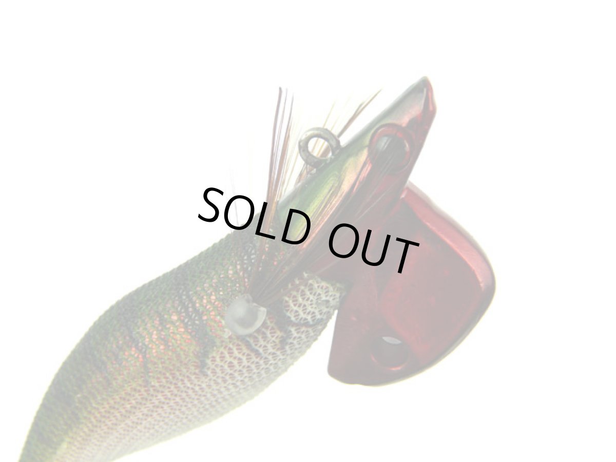 画像1: コーモランプロダクト(CORMORAN)☆Aqua Wave アオリクスTR(Aoricks TR) 3.0号 30g #K23ディジーグリーン (1)