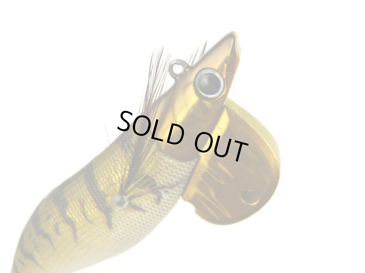 画像1: コーモランプロダクト(CORMORAN)☆Aqua Wave アオリクスTR(Aoricks TR) 3.5号 50g #K21アジゴールド (1)