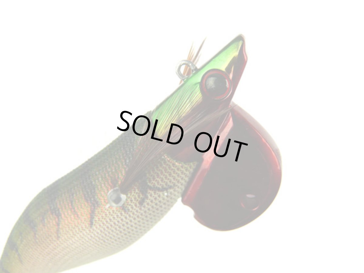 画像1: コーモランプロダクト(CORMORAN)☆Aqua Wave アオリクスTR(Aoricks TR) 3.5号 50g #K23ディジーグリーン (1)